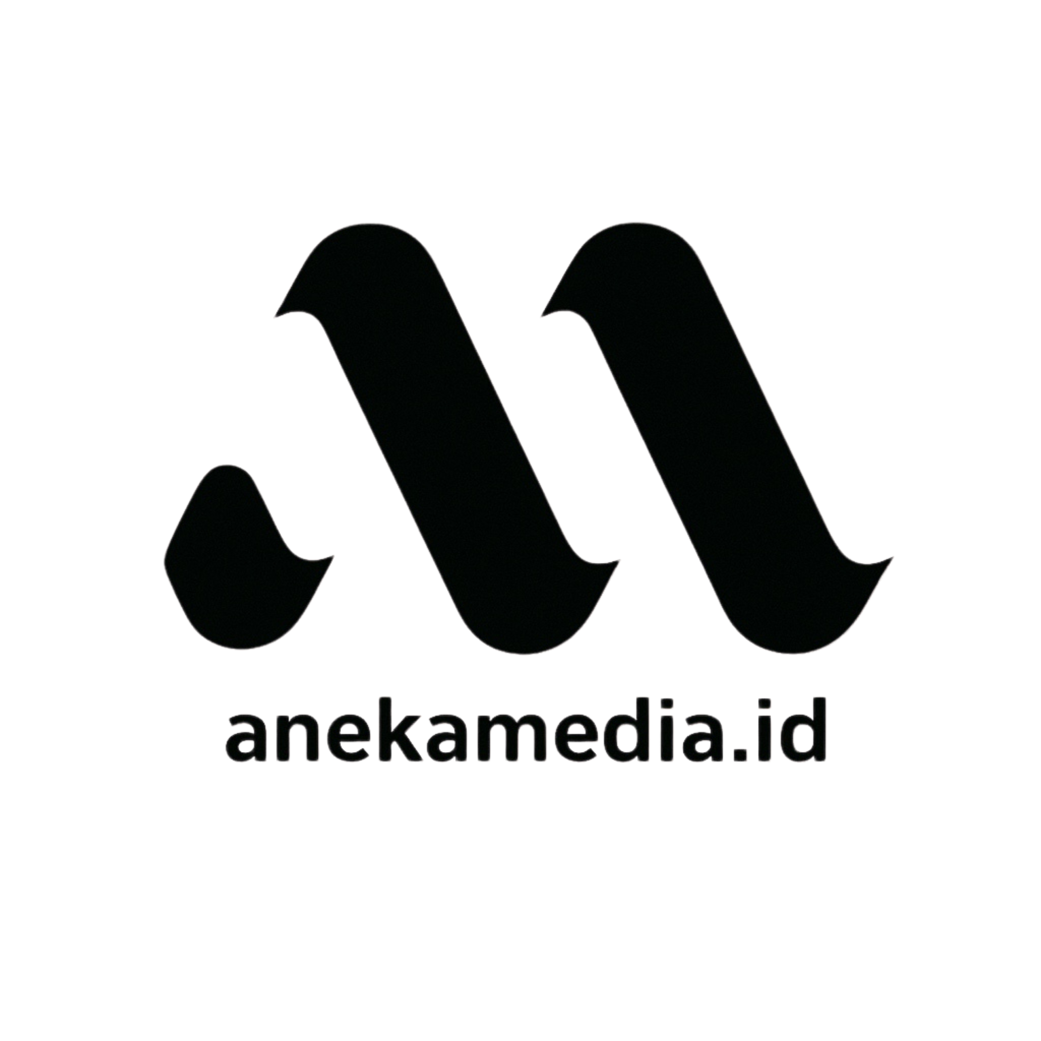 AnekaMedia Logo